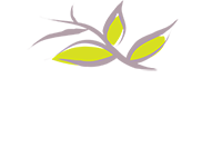 Missouri Hospice & Palliative Care Association - Jefferson City, MO